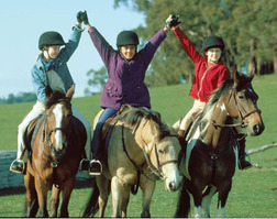 The Saddle Club