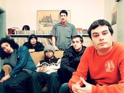 Avalanches, The
