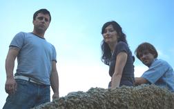 Tin Star