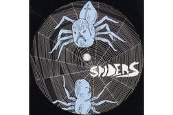Spiders