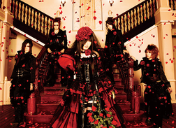 D & G