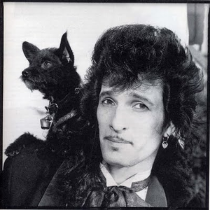 De Ville Mink
