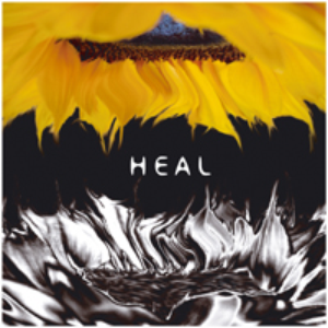 H.E.A.L. Foundation