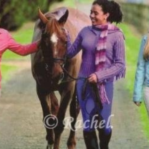 Saddle Club, The