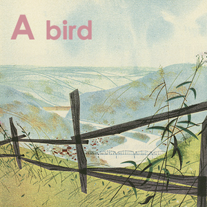 A Bird Flew