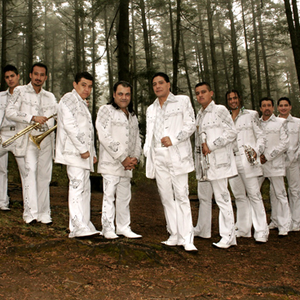 Banda Pequeсos Musical