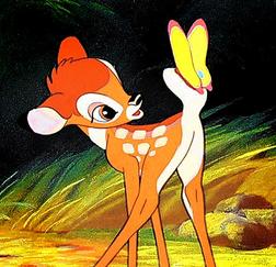 фотография Bambi