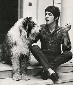 фотография mccartney paul