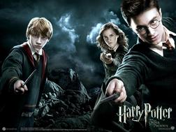 фотография Harry Potter