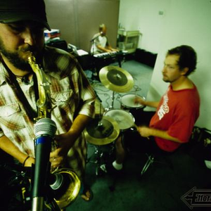 фотография oatmeal dog