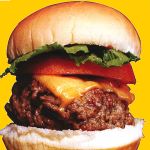 фотография hamburger josh